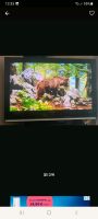 Samsung Plasma 42 Zoll   107 cm Hessen - Brachttal Vorschau