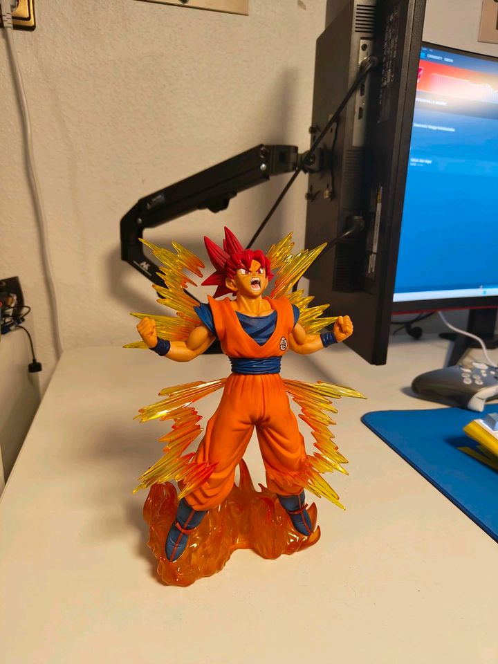 Dragon Ball SSJ God Goku in Herten