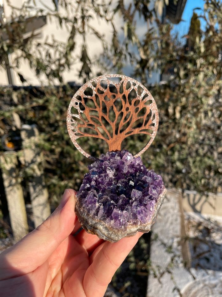 Amethyst mit Baum des Lebens - Mineralien in Roßdorf