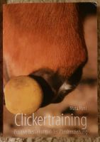 Clickertraining -   Reiten Rheinland-Pfalz - Schmidthachenbach Vorschau