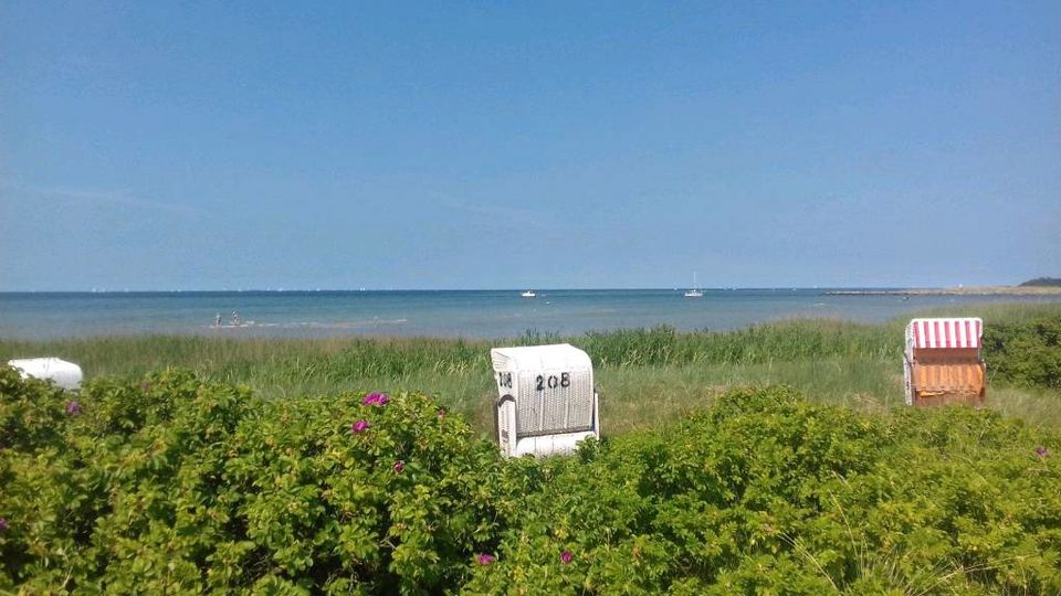 Schöne Ferienwohnung, Stein (Ostsee), 70qm, 300m zum Strand in Stein (Probstei)