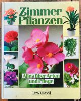 Zimmerpflanzen - Alles über Arten und Pflege Sachsen - Schneeberg Vorschau