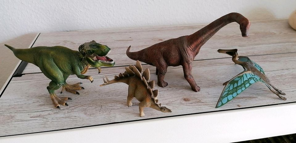 Schleich Dinosaurier 4 Figuren in Dresden