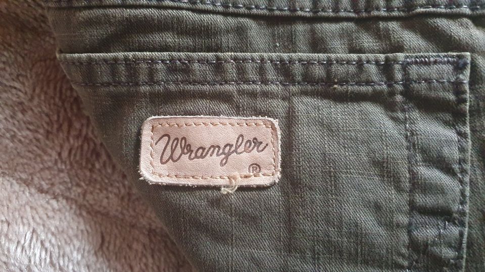 Jeans Levi's 501 521 und Wrangler W31 L32 alle wie "neu" in Lengerich