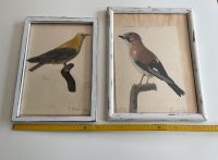 Shabby Vintage Vogel Bild Pirol Eichelhäher Skandi Nordrhein-Westfalen - Castrop-Rauxel Vorschau