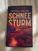 Triona Walsh - Schneesturm Sachsen-Anhalt - Bernburg (Saale) Vorschau