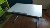 Schreibtisch für Kinder, höhenverstellbar, kippbar, mit Schublade Hessen - Homberg (Efze) Vorschau