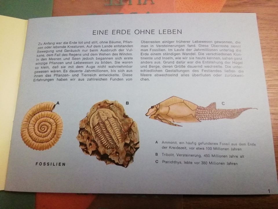Von Urtieren zum Höhlenmenschen  NATI-Lehr - und Spielbuch 1968 in Oberhausen