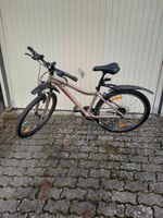 Fahrrad Liv Bliss Comfort 1 Champagne-Berryred, Gr S Hessen - Ahnatal Vorschau