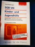 SGB VIII Kinder-und Jugendhilfe 11.Auflage Buch Erzieher Bayern - Memmingen Vorschau