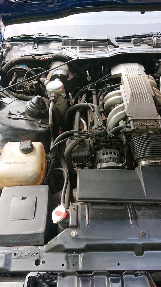 Us Car Pontiac Firebird TransAm 5,0 V8 190Ps Oldtimer H-Zulassung in Dresden