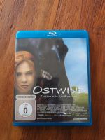 Blu-ray DVD Ostwind Niedersachsen - Westerstede Vorschau