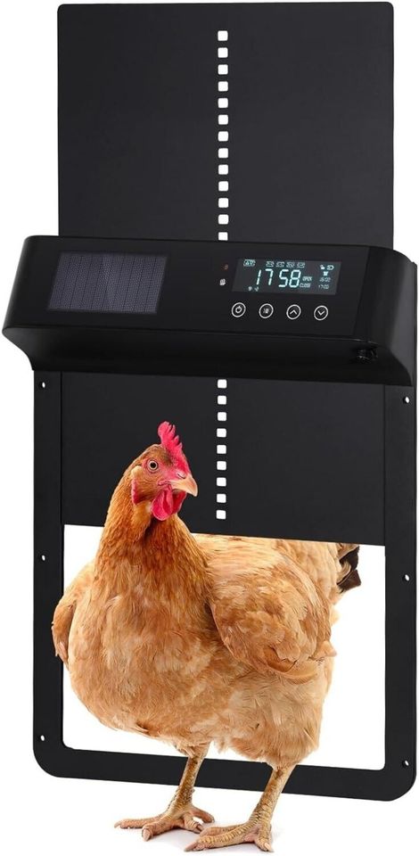 Automatische Hühnerklappe , Solarbetriebenen, Programmierbar in Wasungen