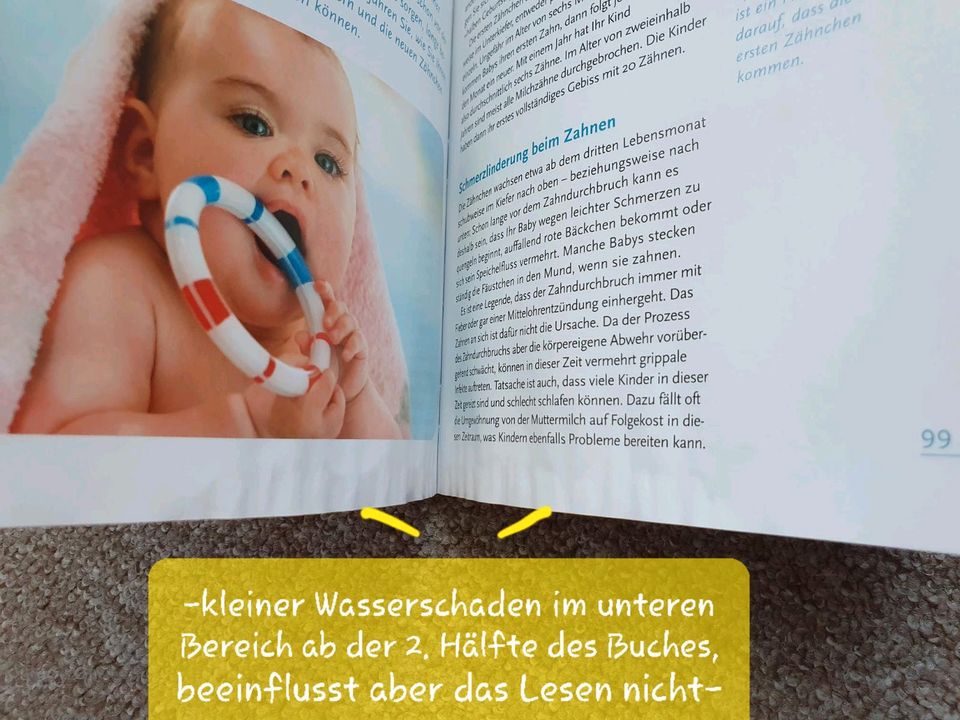 Buch Abenteuer Baby - Eltern-Ratgeber für das erste Lebensjahr in Dresden