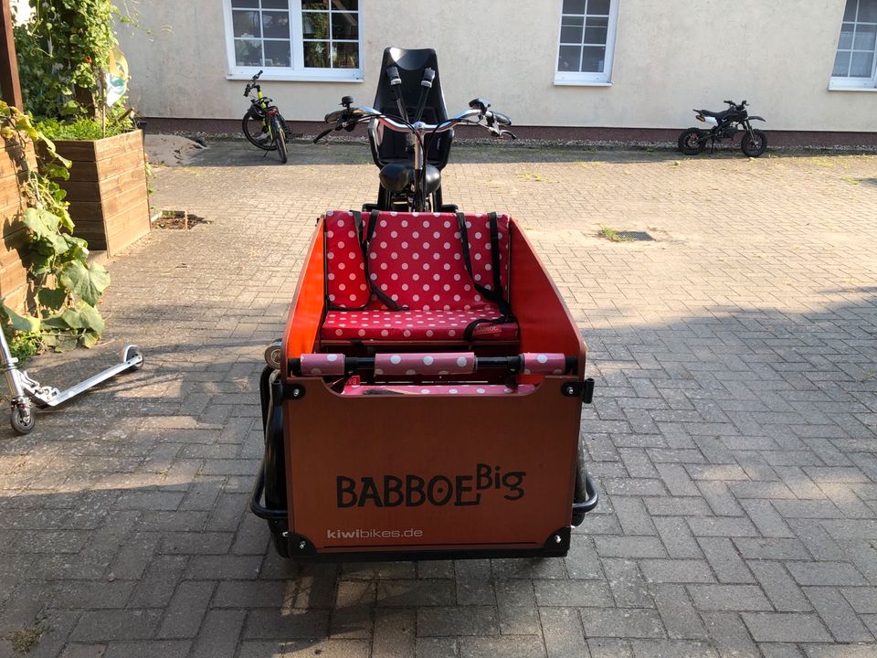 Babboe Big E Lastenfahrrad in Oderberg