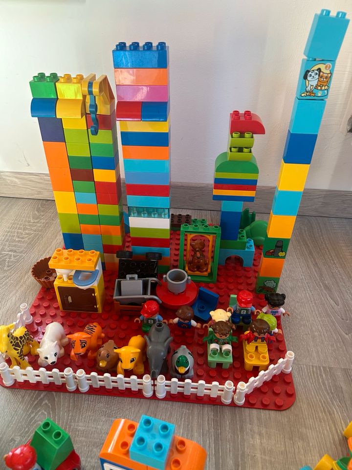 Großes Lego Duplo Set in Pfarrkirchen