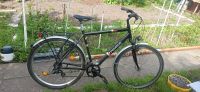 Herren Fahrrad 38 Zoll Mecklenburg-Vorpommern - Neubrandenburg Vorschau