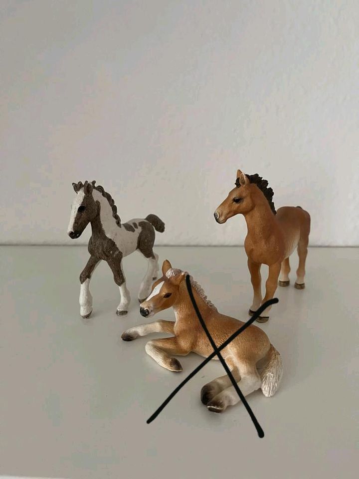 Schleich Fohlen in Lengerich