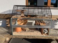 Kleintierkäfig und Zubehör für Wüstenrennmäuse Ratten Gerbil … Baden-Württemberg - Bad Dürrheim Vorschau