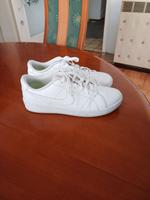 Nike schuhe G 40 Stuttgart - Bad Cannstatt Vorschau