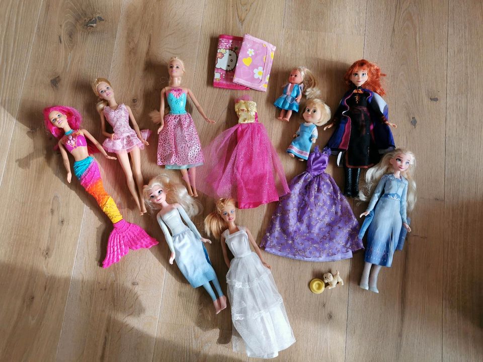 Verschiedene Puppen und Barbies in Maxhütte-Haidhof