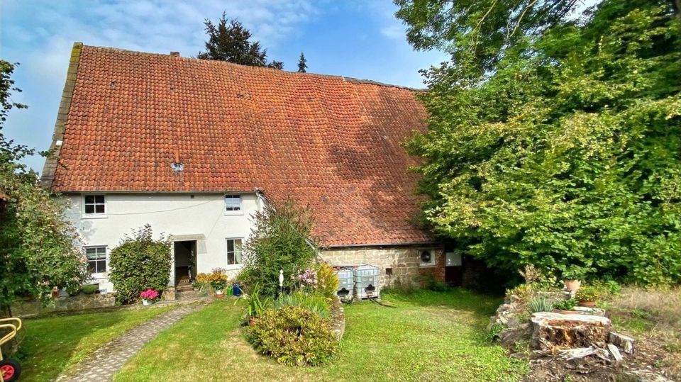 Viel Platz für eigene Ideen! in Schieder-Schwalenberg