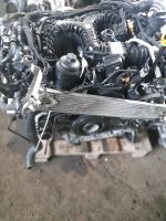 Motor VW Amarok  DDX 3,0TDI   MIT GETRIEBE  27TKM komplett Mecklenburg-Vorpommern - Neubrandenburg Vorschau