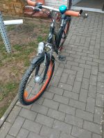 Fahrrad 24 Zoll Niedersachsen - Hildesheim Vorschau
