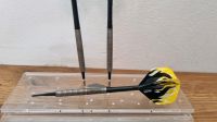 Darts One80 Hornet Jetstream Softdarts Baden-Württemberg - Glatten Vorschau