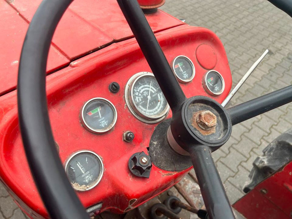 Massey Ferguson 135 (MF 135) Traktor in Wallenhorst