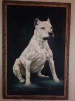 Dogo Argentino Bild ca. 70 x 100 Häfen - Bremerhaven Vorschau