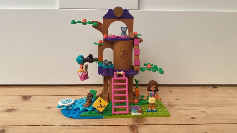 Lego Friends Tierrettungswagen in Zülpich