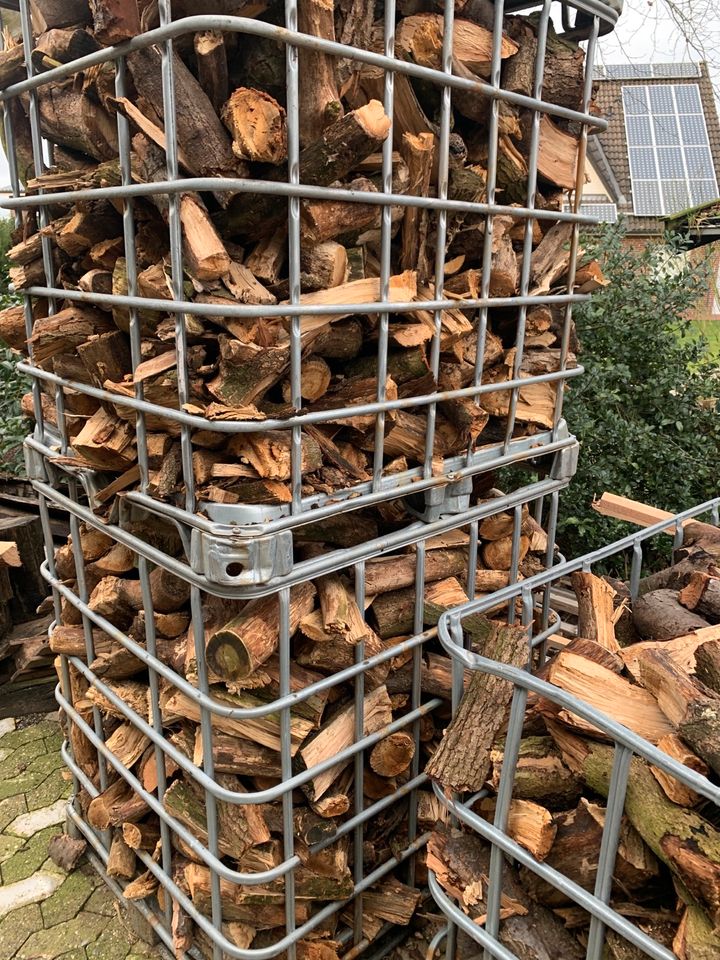 6 SRM frisches Brennholz Feuerholz Holz Eiche Pappel Erle in Burweg