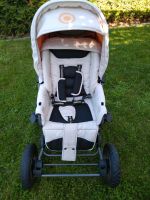 Kinderwagen Kombi-Kinderwagen mit viel Zubehör Thüringen - Friedrichroda Vorschau