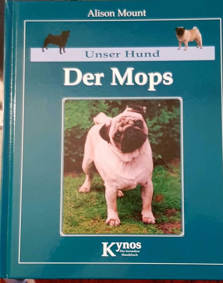 MOPS Ratgeber Hundebuch Hunde Buch Tipps Möpse Hund Rasse Buch in Köln