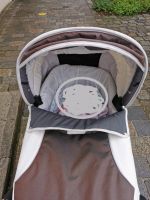 Emmailjunga Kinderwagen Kunstleder Bayern - Roßhaupten Vorschau