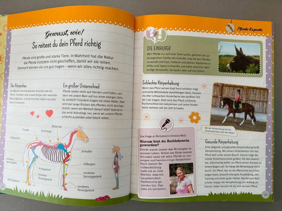 Buch Pferdeliebe: Alles über Pferde, Reiten und Pflege in Bodenheim