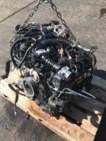 Motor AUDI Q7 Q8 3.0 TDI DHX DHXA 286PS Komplett Sachsen - Mildenau Vorschau