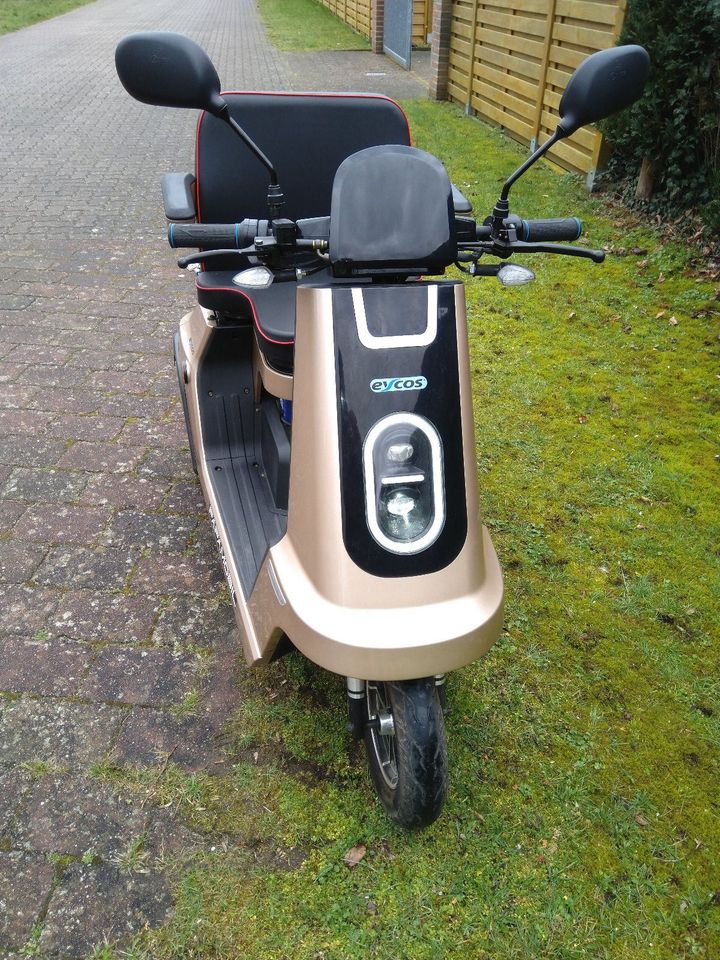 E-trike -RARITÄT- PAPAMOBIL VGH bis 28.02.2025 sofort wegfahren! in Winsen (Aller)