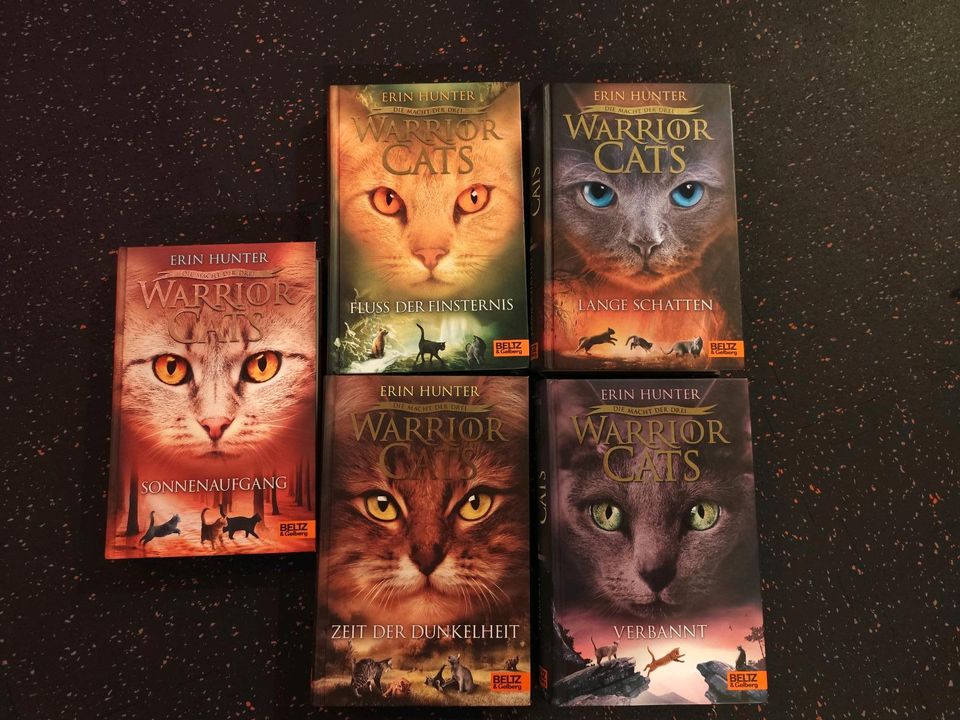 Warrior Cats Bücher Erin Hunter in Fredenbeck