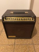 Tanglewood AC30 Gitarrenverstärker Verstärker Rheinland-Pfalz - Worms Vorschau