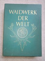 Waidwerk der Welt - 1937 Berlin, Paul Parey Verlag Baden-Württemberg - Ulm Vorschau