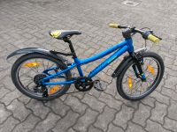 Fahrrad Bergamont Kinder MTB, Bergamonster 20" Nordrhein-Westfalen - Balve Vorschau