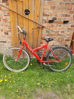 Kinderfahrrad 26 Zoll Citybike Sachsen - Schleife (Ort) Vorschau