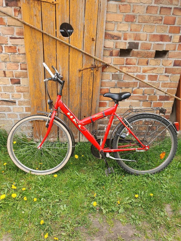 Kinderfahrrad 26 Zoll Citybike in Schleife (Ort)