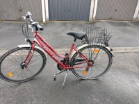 Tecnobike Aliante 46 Zoll Bayern - Eckental  Vorschau