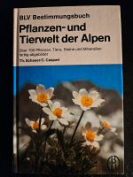 Pflanzen- und Tierwelt der Alpen : über 700 Pflanzen, Tiere, Stei Hessen - Bad Camberg Vorschau