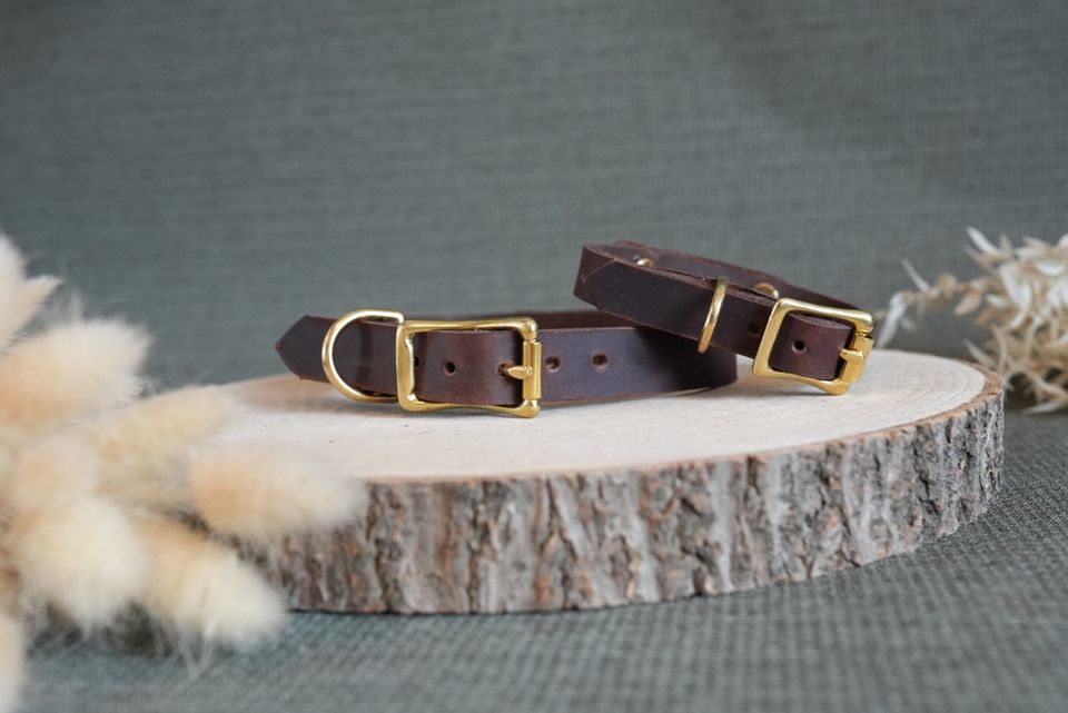 Halsband - Lederhalsband - Halsband personalisiert - Hundehalsban in Güntersleben