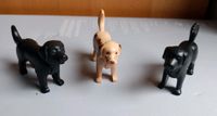 Playmobil Labrador und Berner Sennenhund Nordrhein-Westfalen - Hürth Vorschau