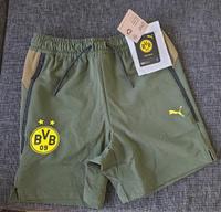 Puma BVB PUMATECH Shorts 6" WV Größe S Sachsen - Borna Vorschau
